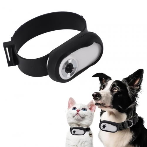 Caméra à collier pour animaux de compagnie, rechargeable par USB, HD 1080p, écran LCD, caméra de sport pour animaux de compagnie, avec vidéo et photo