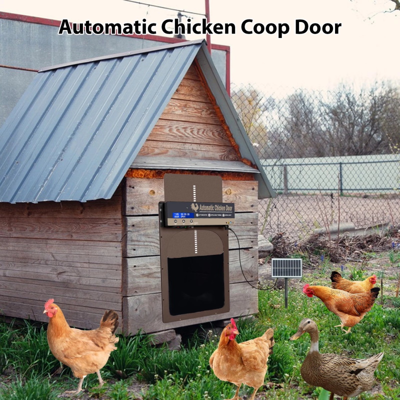 Automatische Chicken Coop Tür