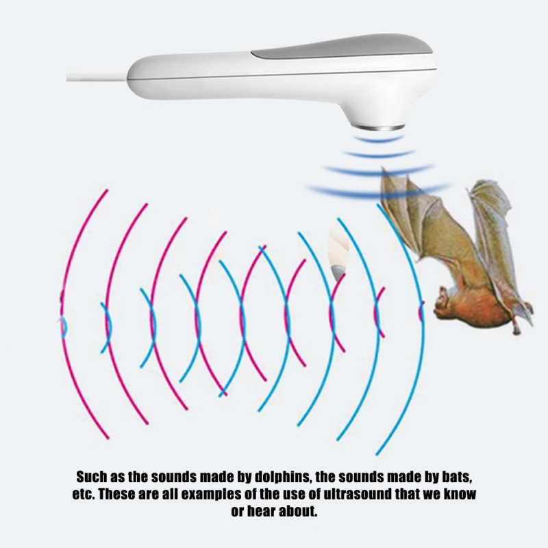 Ultrasonic Physiotherapy Massager