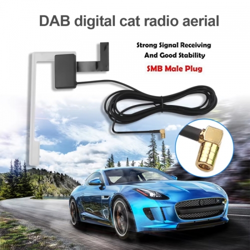 DAB Autoradio Antenne Dualband Antenne der verstärkten internen Glas halterung SMA zu F Adapter für Auto Dab alle Modelle