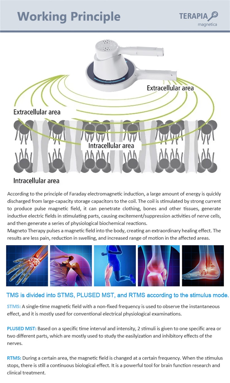 Emtt Laser Magneto Terapia Therapy