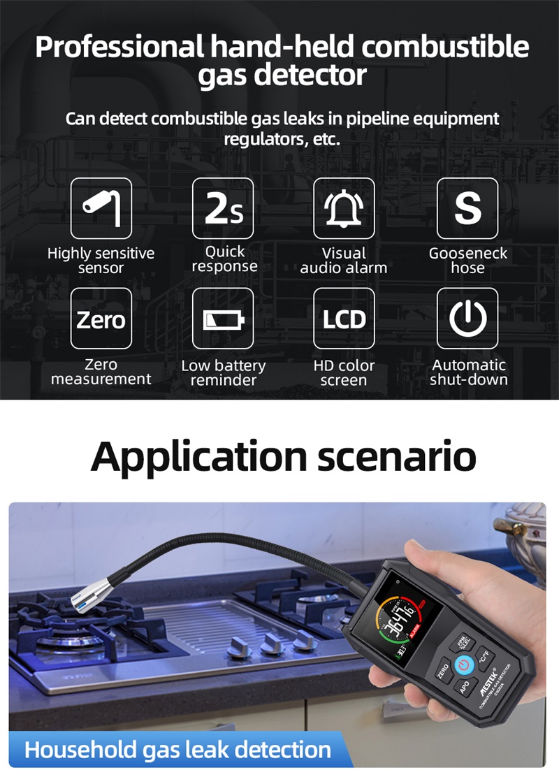 Gas leak detector analyzer