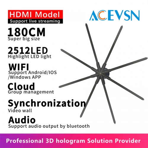 Live Streaming 3D Hologram Projector Real-time Display With HDMI Port For Event/Celebration Activities