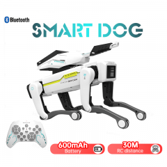 Chien robot intelligent bionique RC – Chien robot électrique multifonctionnel avec pistolet jouet cadeau