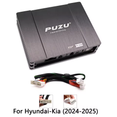 Pour Hyundai-Kia (2024-2025)