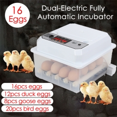 16 Egg Incubator for Farm, Poultry, Fully Automatic Rotating Egg Incubator for Chicken, Goose, Ducks, Birds