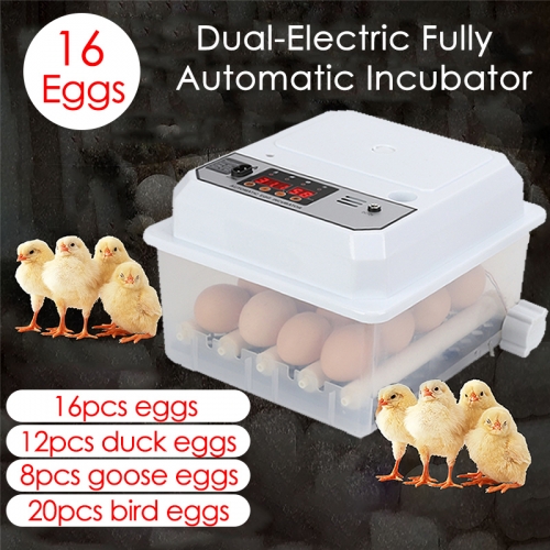 Incubateur 16 œufs pour ferme, volaille, incubateur rotatif entièrement automatique pour poulets, oies, canards et oiseaux