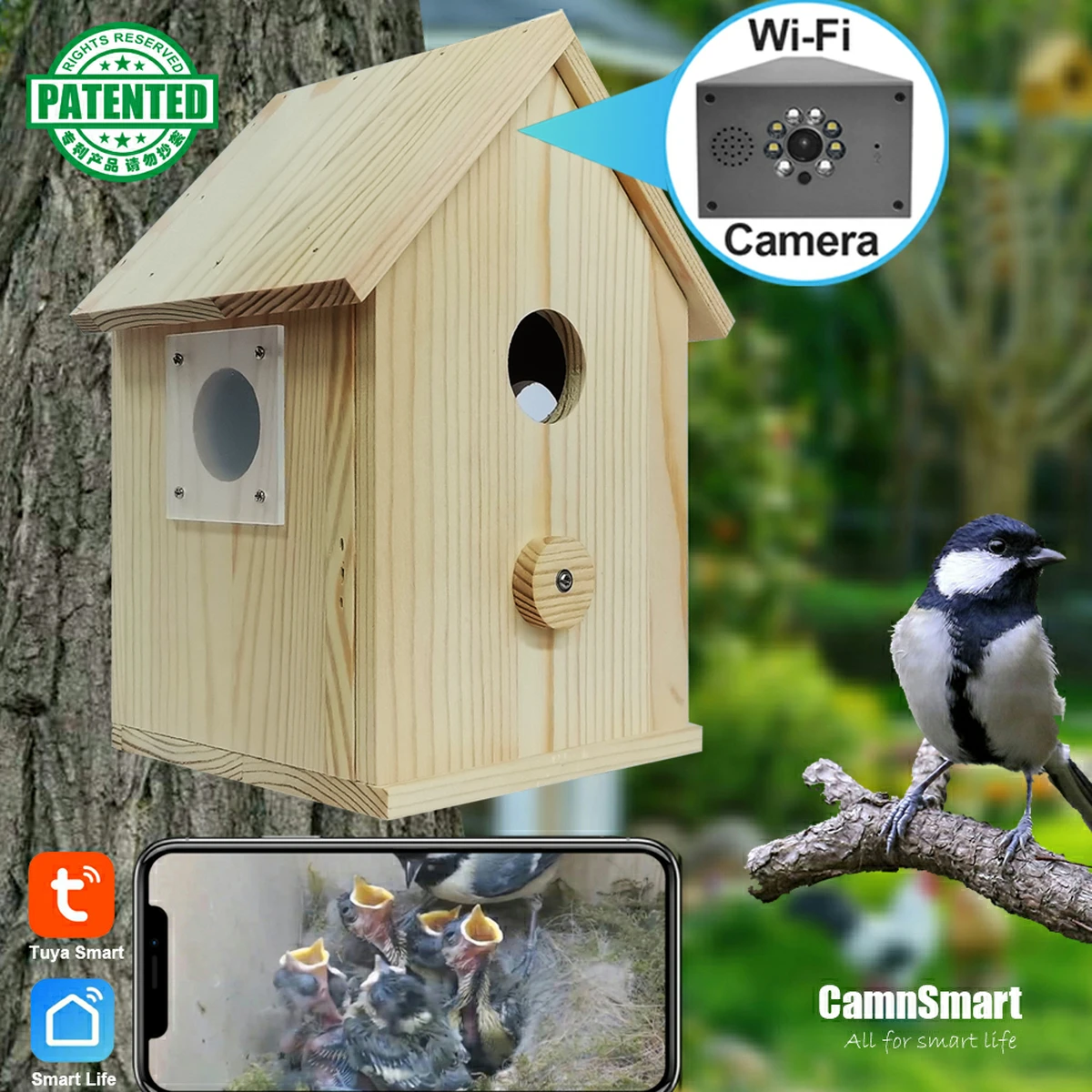 Nichoir intelligent Tuya avec caméra WiFi HD 4MP, vision nocturne, enregistrement vidéo sur carte SD et lecture en temps réel