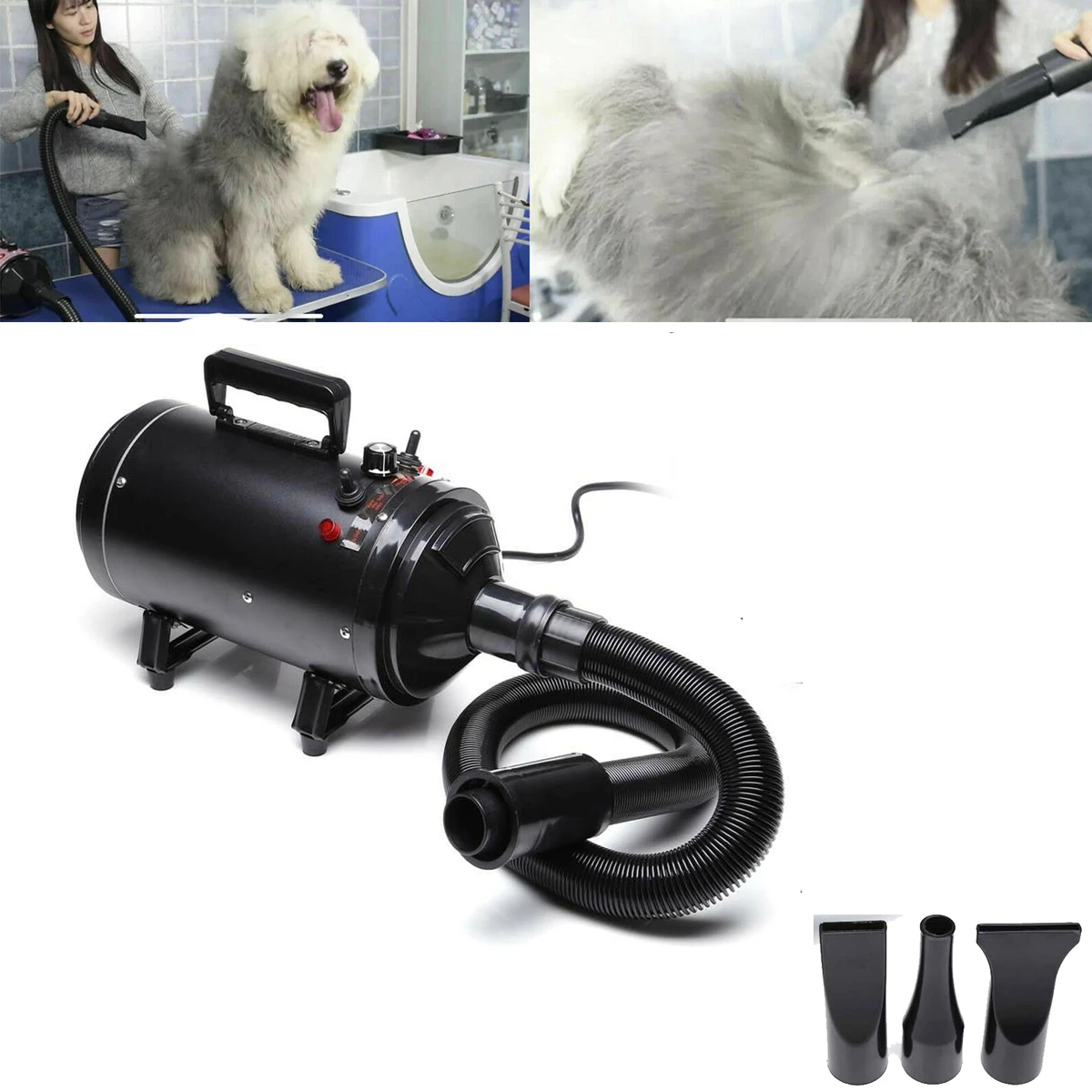 Sèche-poils pour animaux 2800 W, 2 températures 35 °C et 65 °C, vitesse variable de 50 m/s à 100 m/s, tuyau télescopique de 2,3 m, 4 embouts