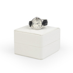 FANXI factory custom logo luxury white watch storage box