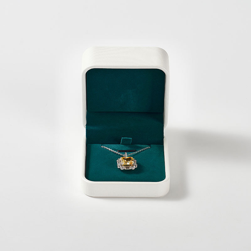 FANXI Custom Green leather Pendant box