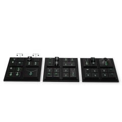 FANXI Luxury Black leather Jewelry display set