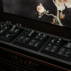 FANXI Luxury Black leather Jewelry display set