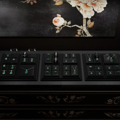 FANXI Luxury Black leather Jewelry display set