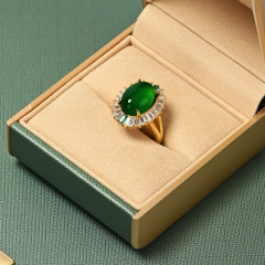 FANXI green acrylic and leather Jewelry box