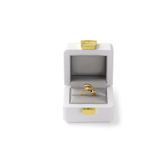 FANXI Custom white piano paint ring box