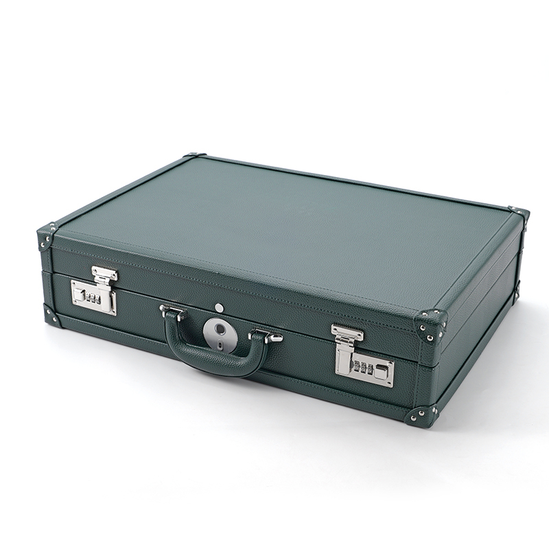 FANXI Custom green leather microfiber watch case