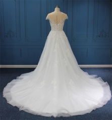 WT4538  Lace,Beading, Gliter tulle Aline