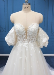 WT4666 Light tulle Aline