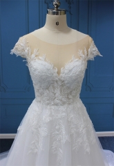 WT4538  Lace,Beading, Gliter tulle Aline