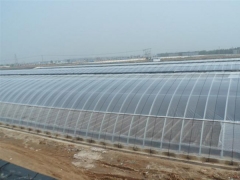 Energy Saving Sunlight Greenhouse