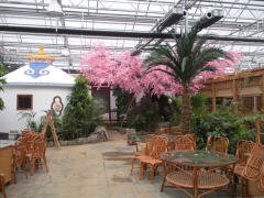 Eco Restaurant Greenhouse