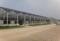 Urumqi City Greenhouse Project