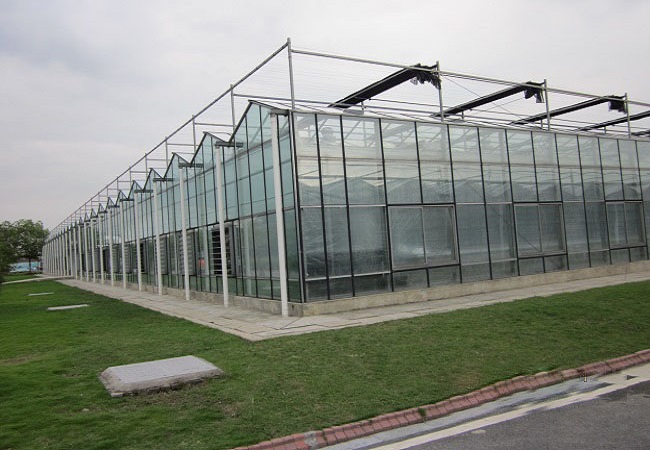 Shanxi Yulin city intelligent greenhouse
