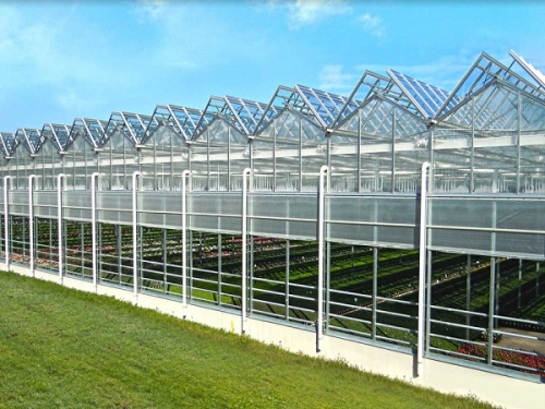 Roof Open Type Greenhouse