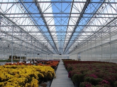 Roof Open Type Greenhouse