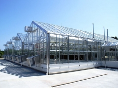 Wide Span Greenhouse