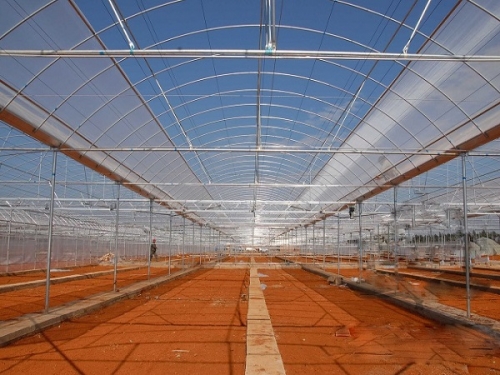 Arched Multi-Span Greenhouse