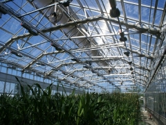 Wide Span Greenhouse