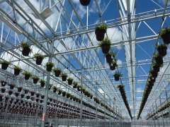 Roof Open Type Greenhouse