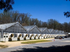 Wide Span Greenhouse