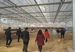 venlo glass greenhouse for Shandong customer