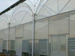 Double Arch Double Film Greenhouse in Liaoning