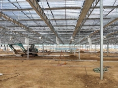 venlo type greenhouse begin to build in Weifang