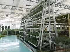 Vertical Farming