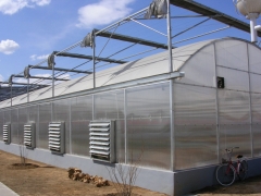 Sudan Agricultural Research greenhouse project for wheat production in arid area