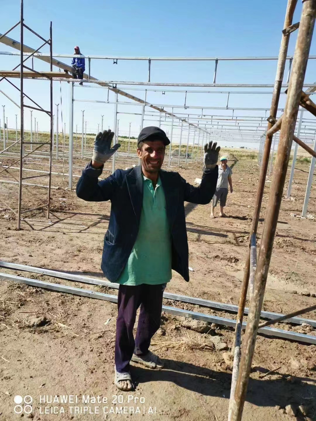 plastic film greenhouse project in Iraq