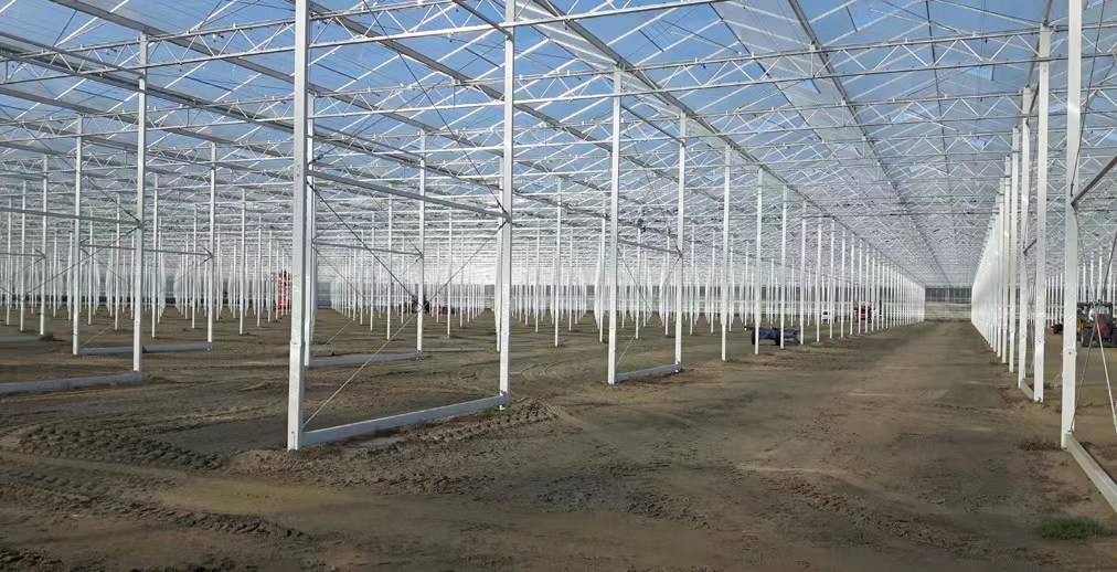 tomato hydroponics greenhouse for Canada client