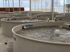 Aquaponics System