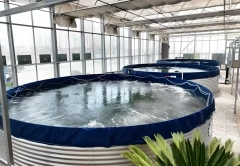 Aquaponics System