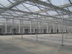 Urumqi City Greenhouse Project