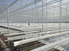 venlo glass greenhouse for Shandong customer
