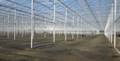 venlo glass greenhouse for Shandong customer