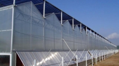 Venlo type greenhouse project in Beijing city