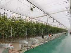 venlo type greenhouse begin to build in Weifang