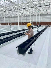 Glass Greenhouse of suspend strawberry planting in  Jiangsu
